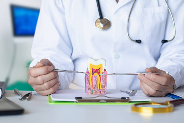 Best Emergency Tooth Extraction in New Paris, IN